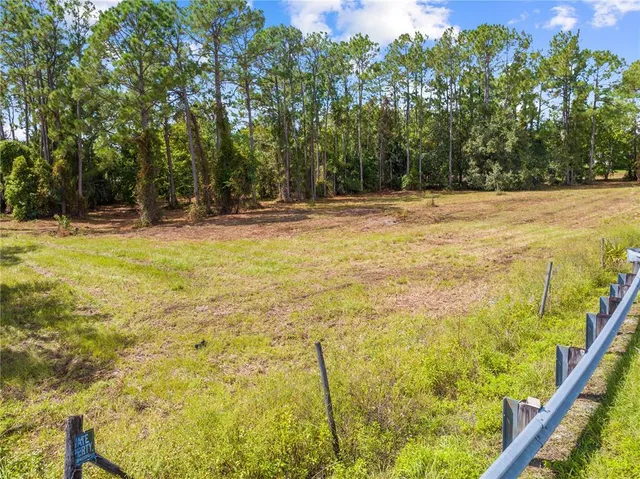 a small garden with trees in the background