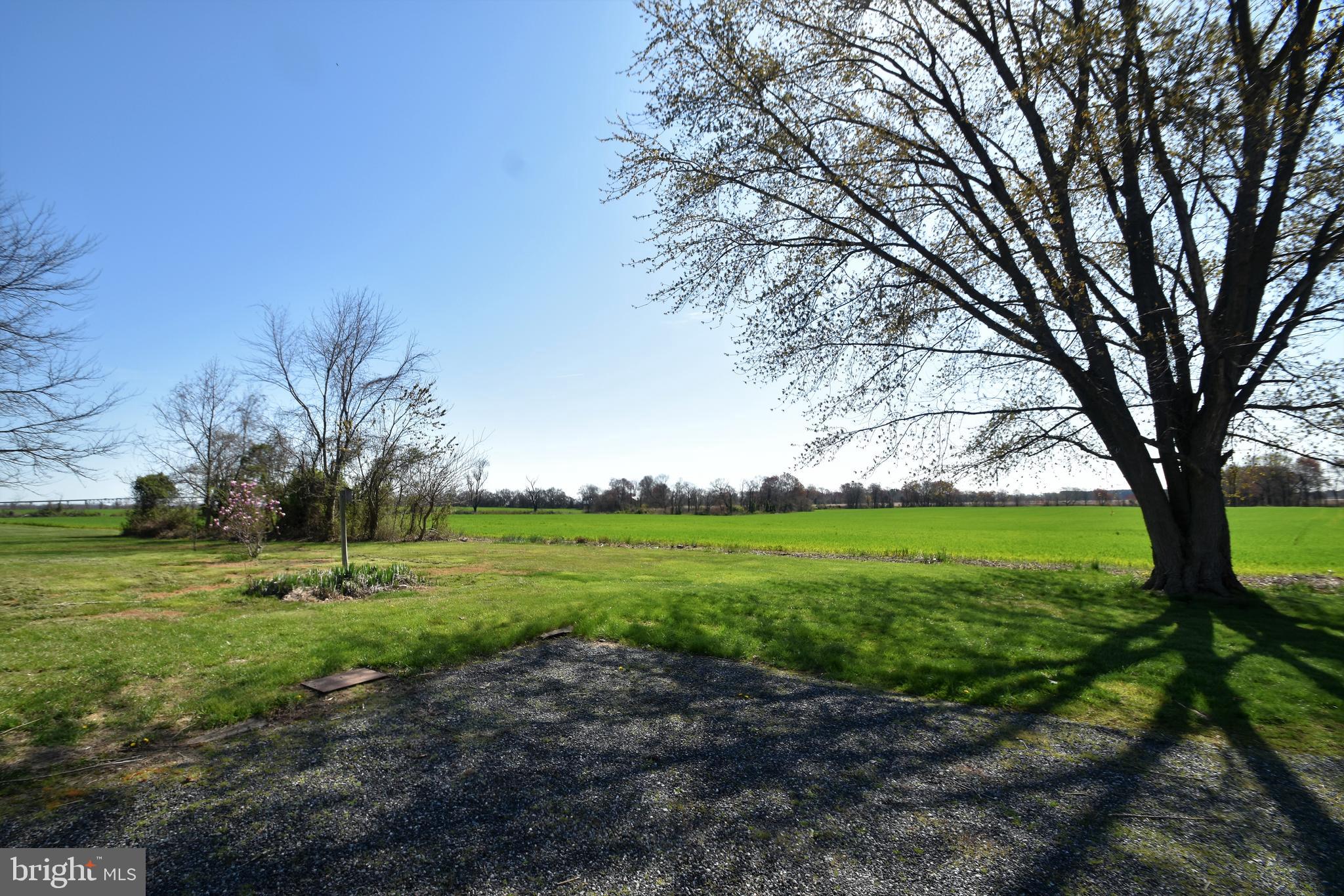1140 Dutch Neck Road Middletown, DE 19709 - Photo 4 of 78 View of back yard