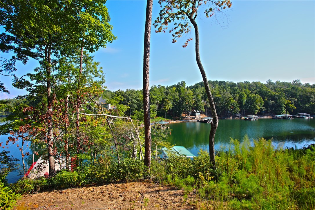 Lot 77 Harbor Point Seneca, SC 29672 - Photo 26 of 49 Gallery Image 26