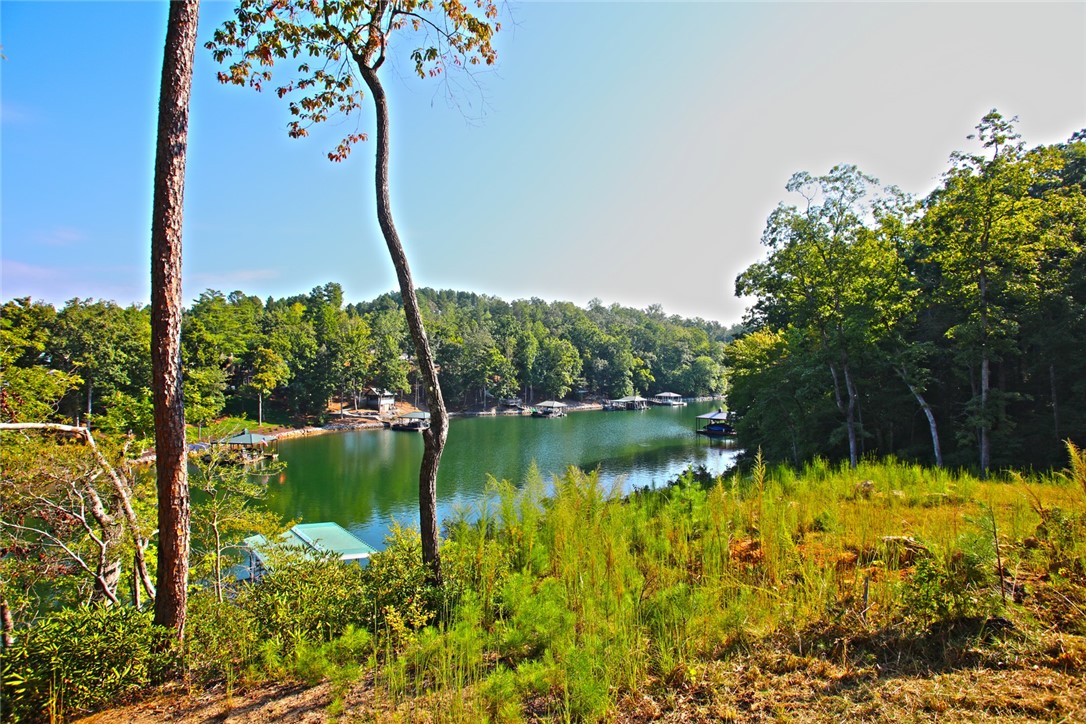 Lot 77 Harbor Point Seneca, SC 29672 - Photo 27 of 49 Gallery Image 27
