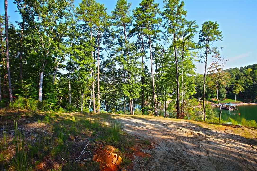 Lot 77 Harbor Point Seneca, SC 29672 - Photo 31 of 49 Gallery Image 31