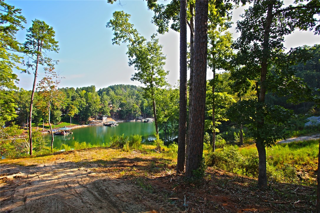 Lot 77 Harbor Point Seneca, SC 29672 - Photo 33 of 49 Gallery Image 33