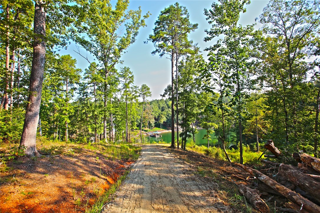 Lot 77 Harbor Point Seneca, SC 29672 - Photo 34 of 49 Gallery Image 34