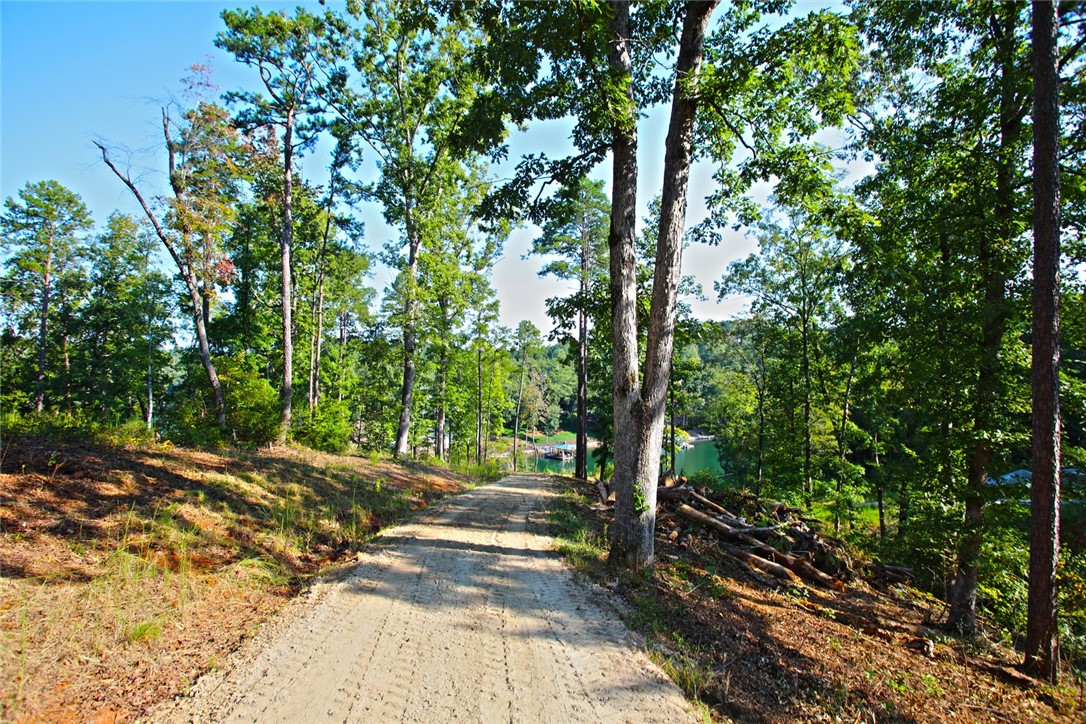 Lot 77 Harbor Point Seneca, SC 29672 - Photo 35 of 49 Gallery Image 35