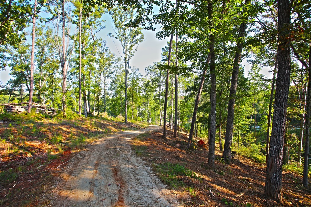 Lot 77 Harbor Point Seneca, SC 29672 - Photo 38 of 49 Gallery Image 38
