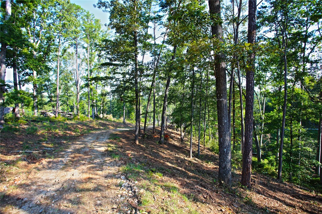 Lot 77 Harbor Point Seneca, SC 29672 - Photo 39 of 49 Gallery Image 39