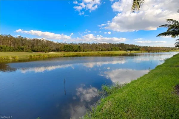 a view of a lake with a city
