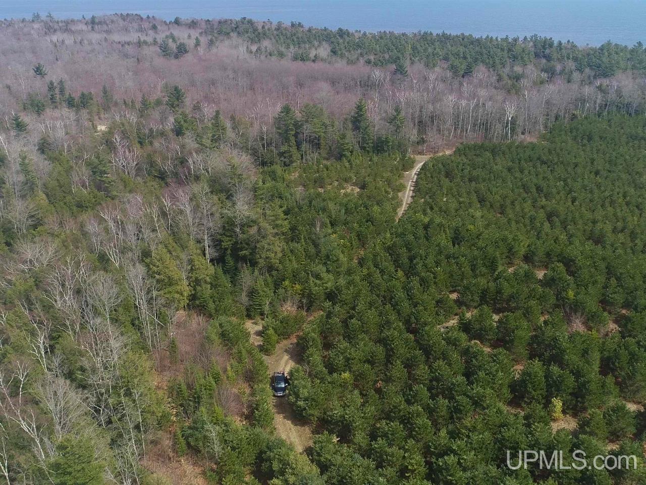 40-acres Gierke Road Manistique, MI 49854 - Photo 28 of 39