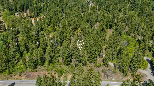a view of a lush green forest with lots of trees