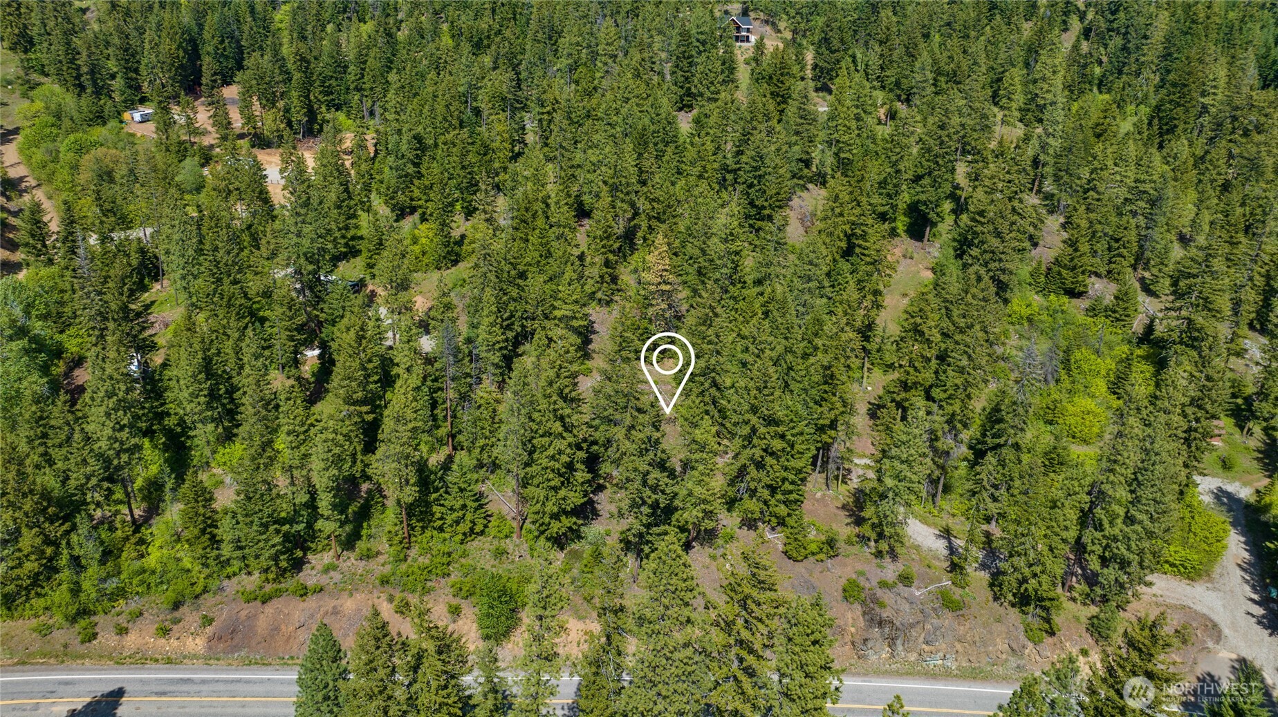 11 Salmon La Sac Road Ronald, WA 98940 - Photo 2 of 8 a view of a lush green forest with lots of trees