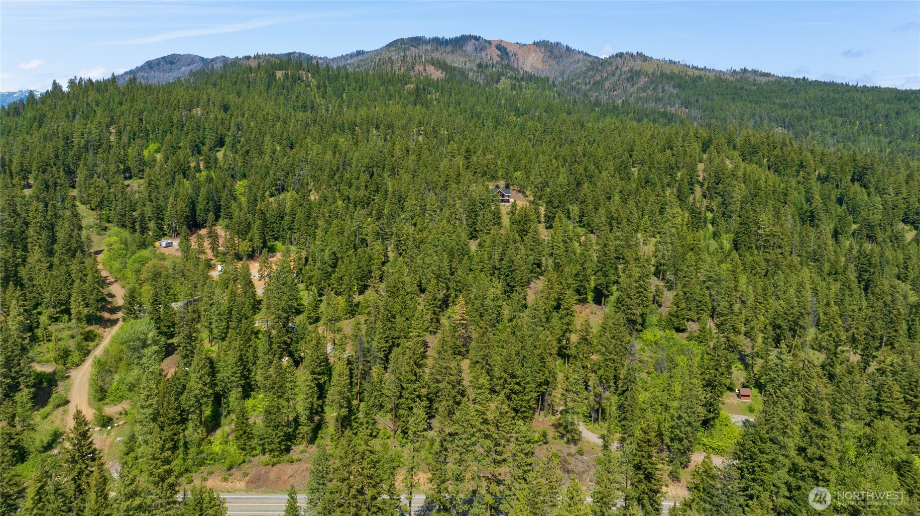 11 Salmon La Sac Road Ronald, WA 98940 - Photo 3 of 8 a view of a lush green forest with a mountain