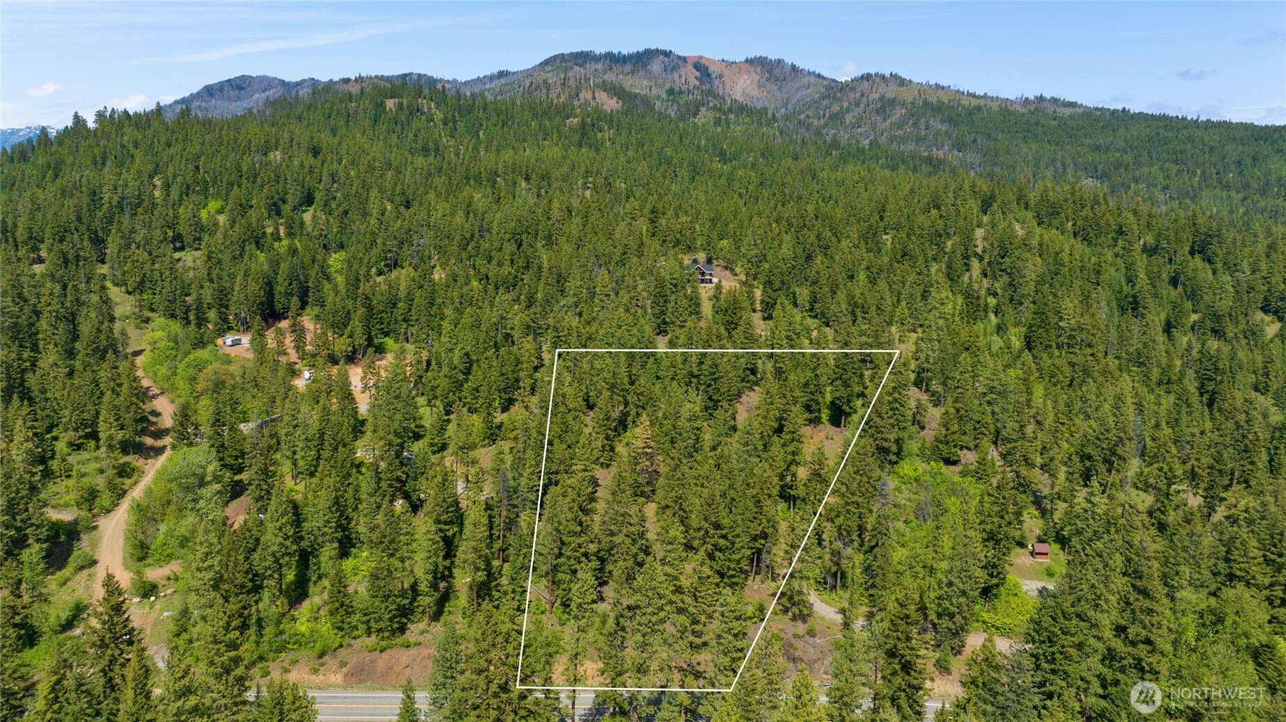 11 Salmon La Sac Road Ronald, WA 98940 - Photo 4 of 8 a view of a lush green field with a tree in the background