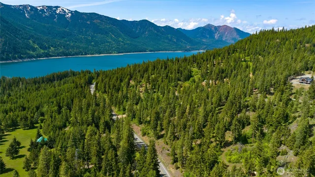 a view of a lush green hillside and a houses