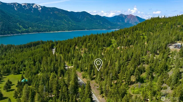 a view of a lush green forest with mountains in the background