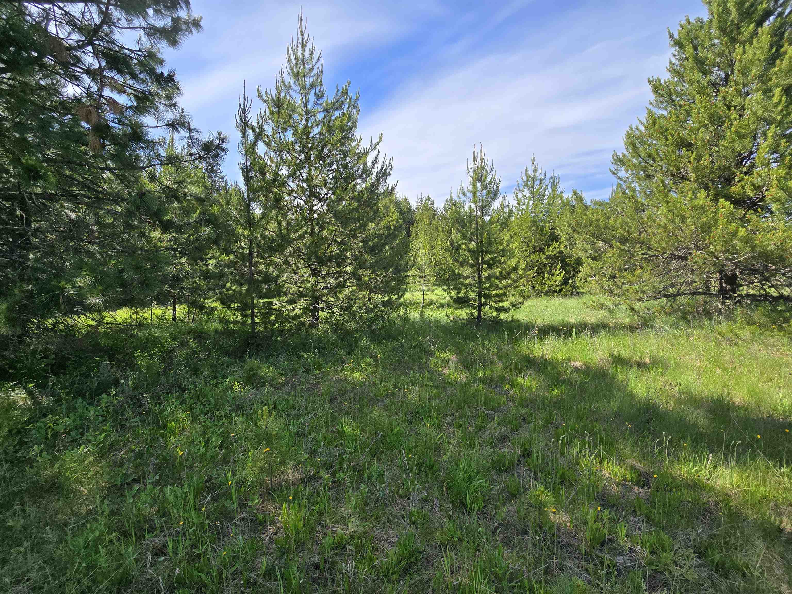 2040 Westside Calispel Road Usk, WA 99180 - Photo 11 of 23