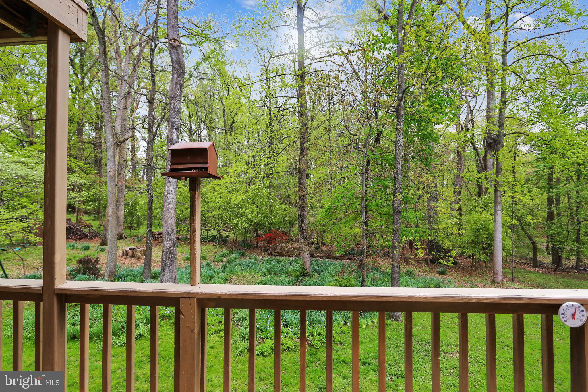 13624 Middlevale Lane Silver Spring, MD 20906 - Photo 6 of 60 Incredible Wooded View from the Deck!