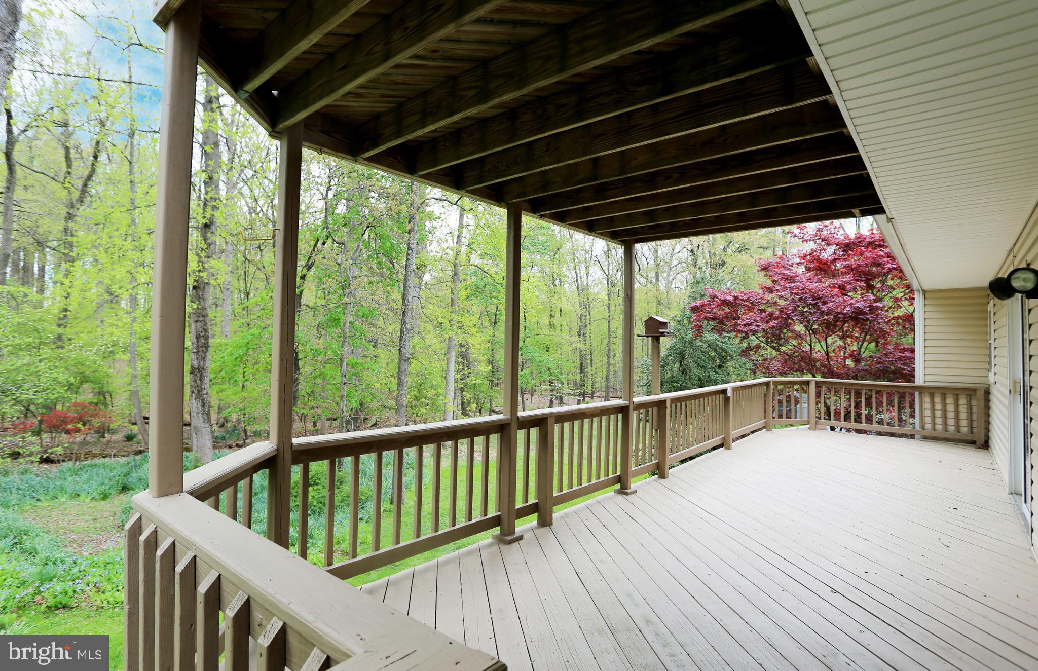 13624 Middlevale Lane Silver Spring, MD 20906 - Photo 7 of 60 You will never want to leave the serene Setting!
