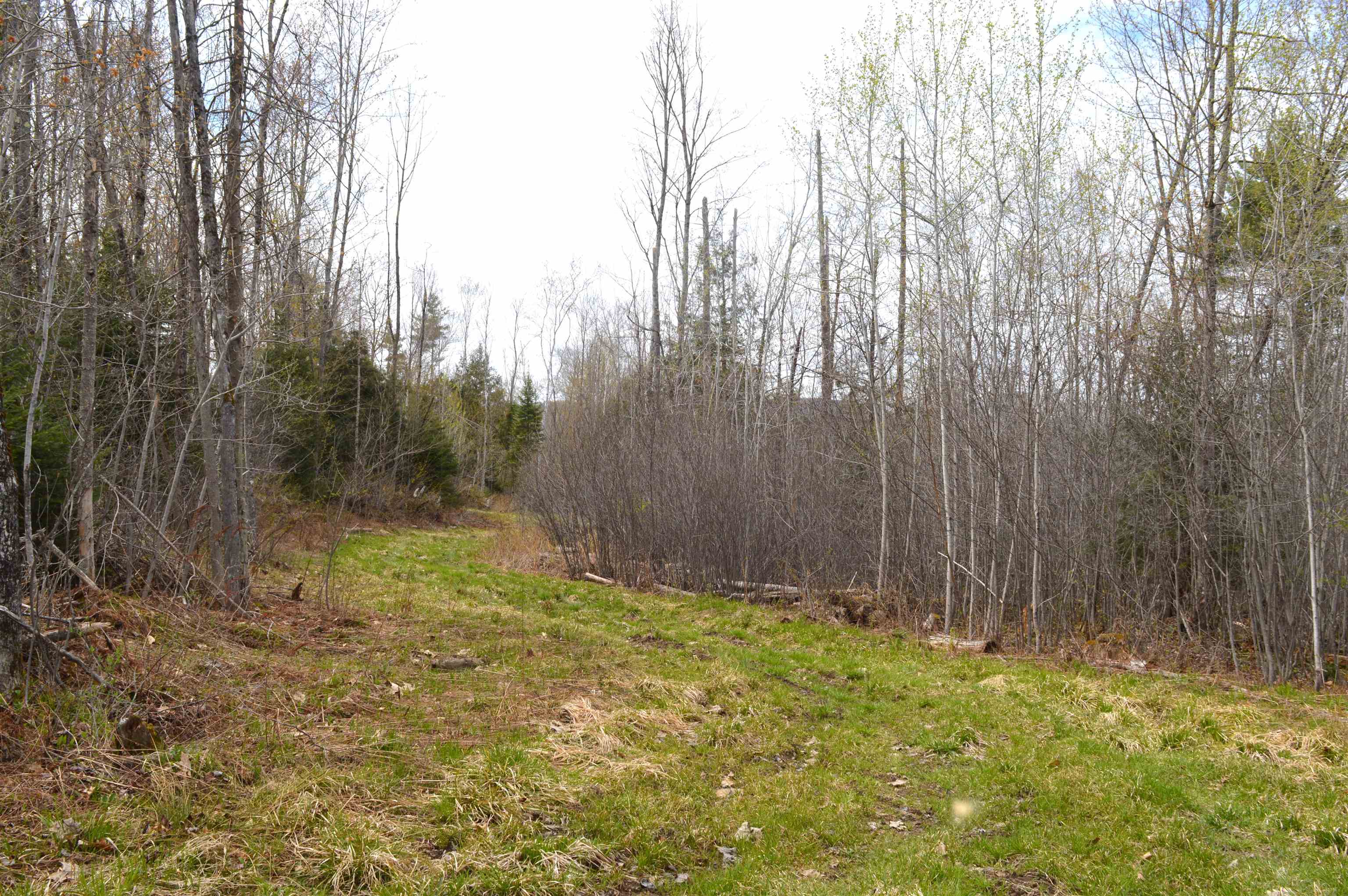 428 Maple Street, Unit 16 Newport, NH 03773 - Photo 20 of 20