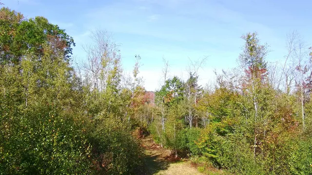 $170,000 | 428 Maple Street, Unit 16, Newport, NH 03773