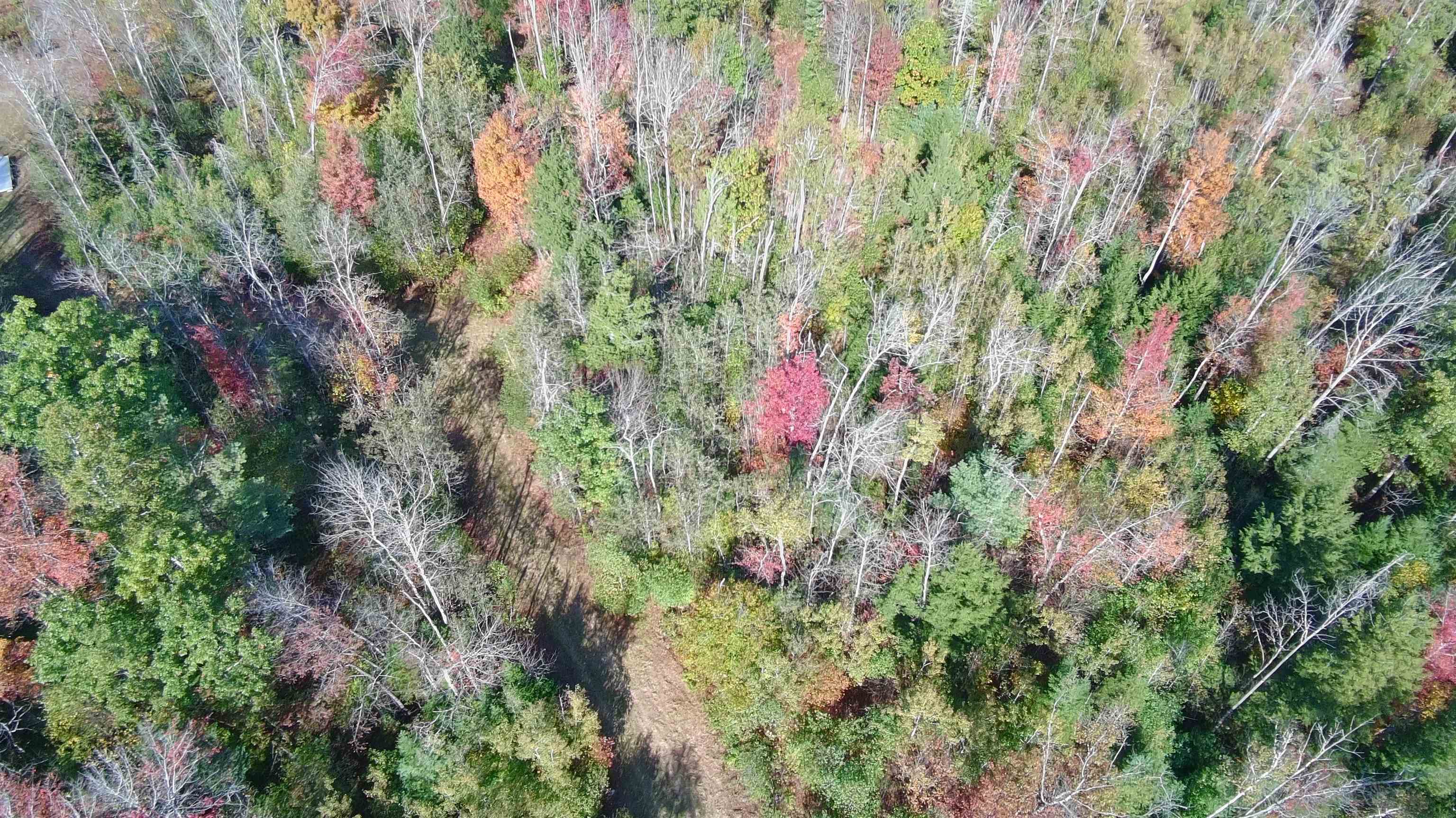 428 Maple Street, Unit 16 Newport, NH 03773 - Photo 7 of 20