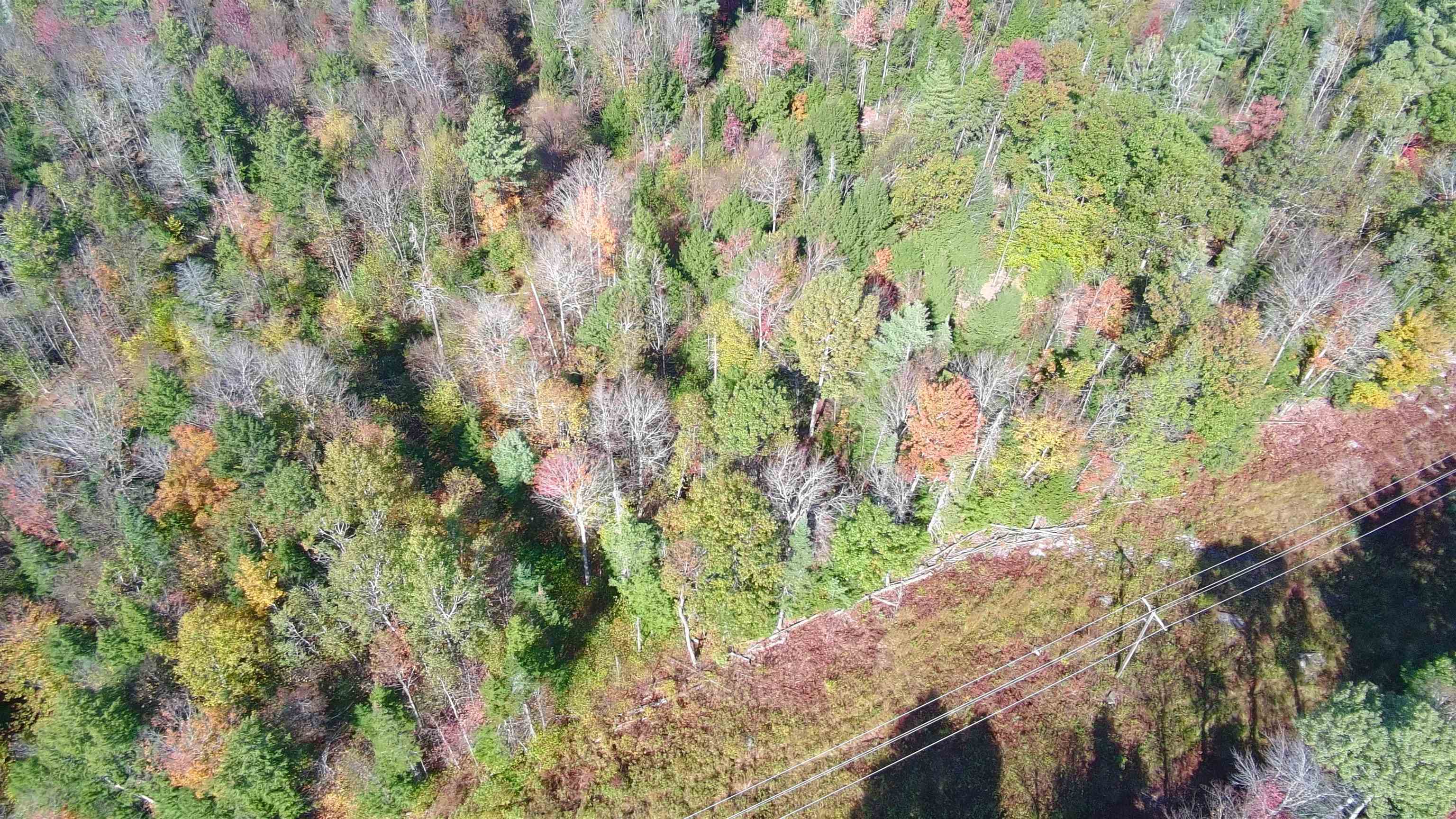 428 Maple Street, Unit 16 Newport, NH 03773 - Photo 8 of 20