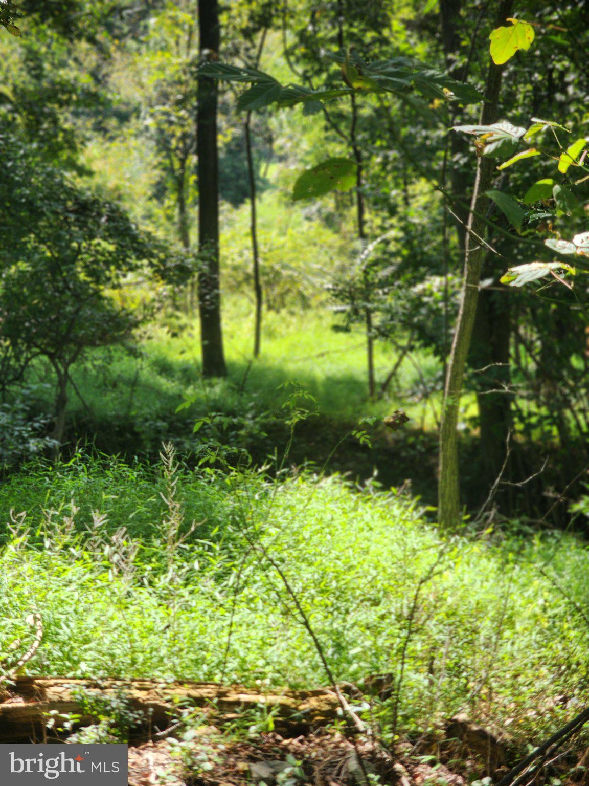 Zittlestown Road Middletown, MD 21769 - Photo 2 of 3 small stream