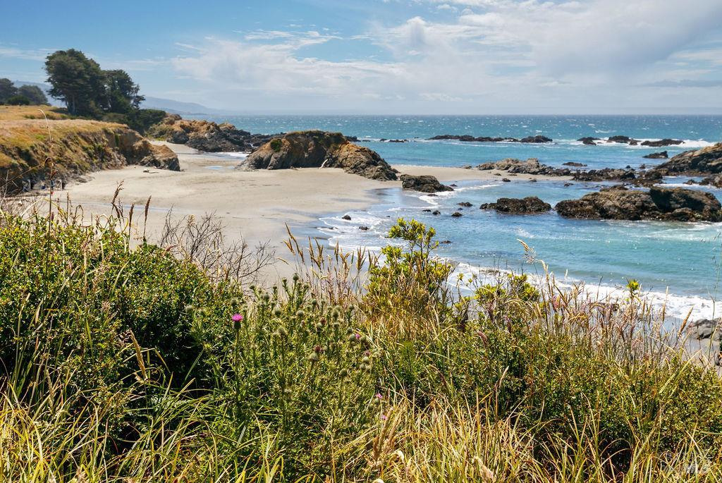 39574 Leeward Road The Sea Ranch, CA 95497 - Photo 56 of 68