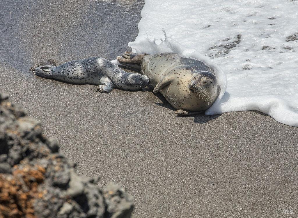 39574 Leeward Road The Sea Ranch, CA 95497 - Photo 62 of 72 a view of a wooden floor