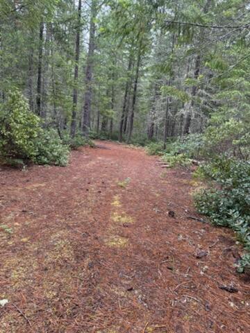 Lone Mountain Road, Unit 1300 Cave Junction, OR 97523 - Photo 2 of 15 a view of a yard with trees in the background