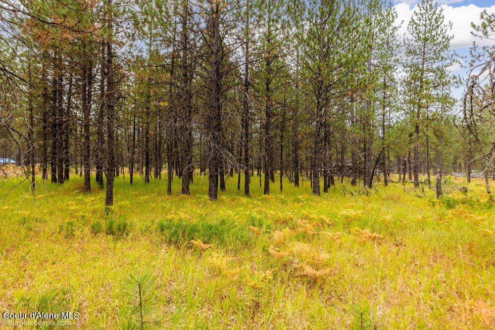 32584 North Sheep Springs Road Athol, ID 83801 - Photo 39 of 43 Acreage