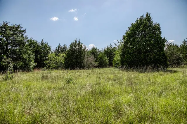 a view of outdoor space and green space