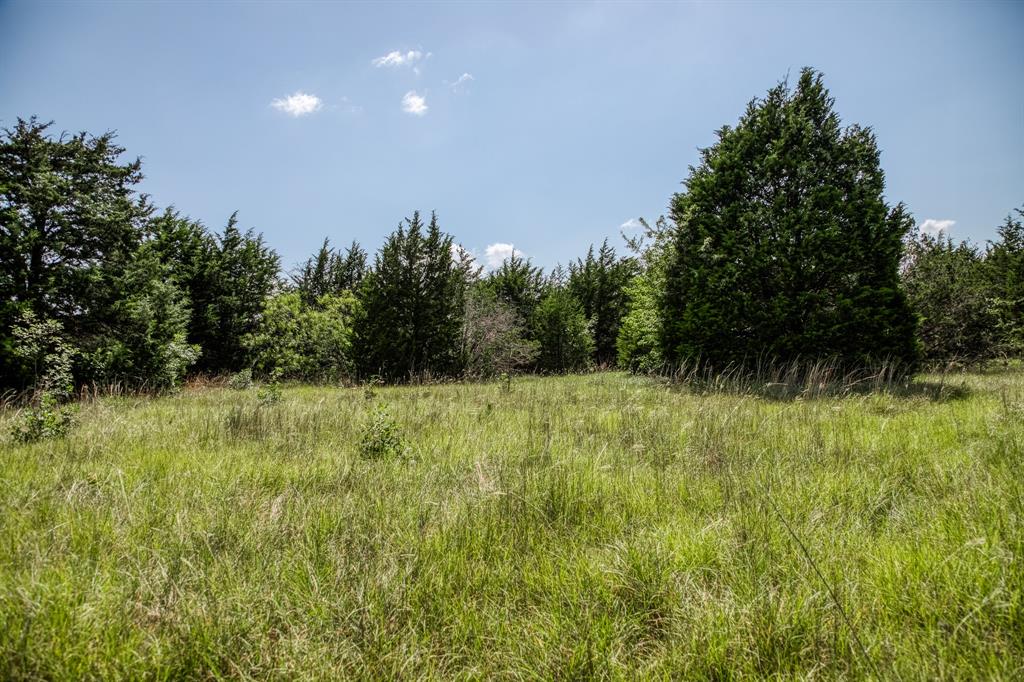 18201 Interstate 35 West, TX 76691 - Photo 15 of 22 a view of outdoor space and green space