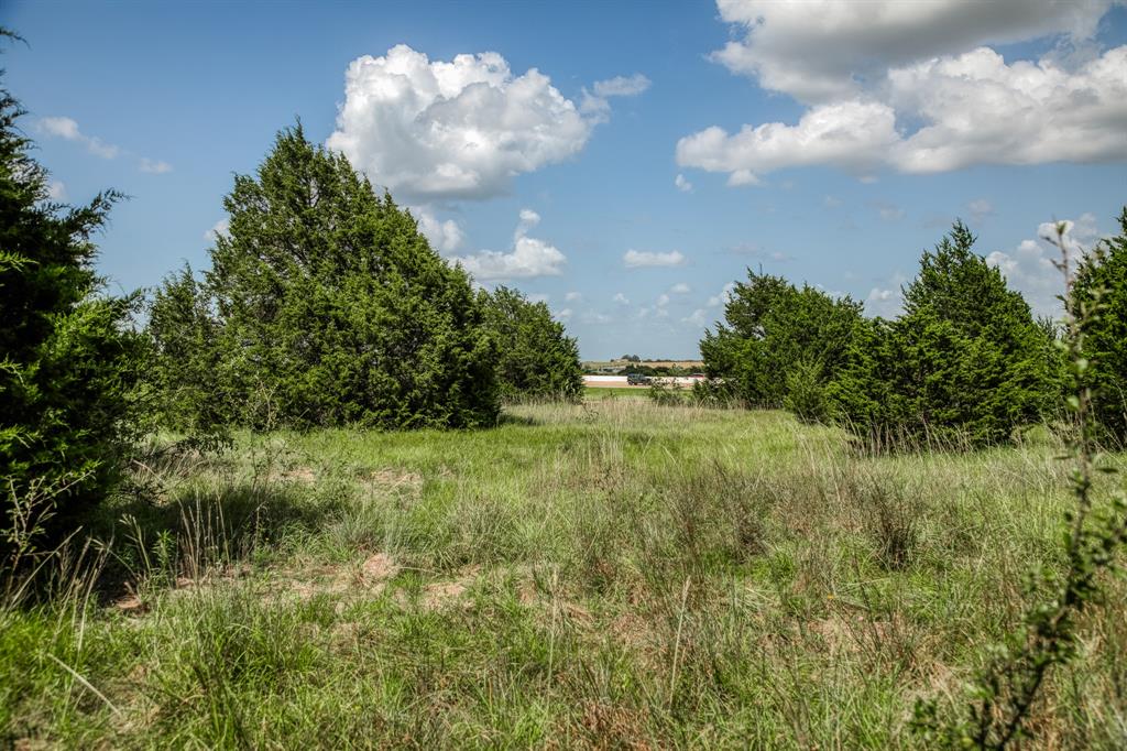 18201 Interstate 35 West, TX 76691 - Photo 16 of 22 a view of a big yard with plants and a large tree