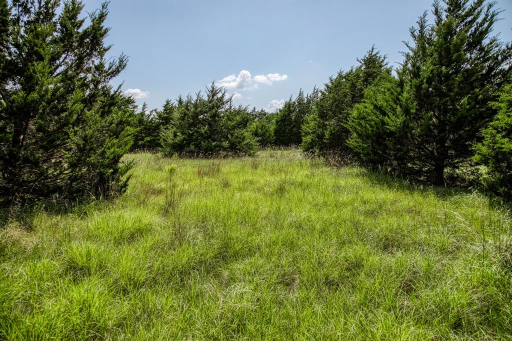 18201 Interstate 35 West, TX 76691 - Photo 17 of 22 a view of a garden