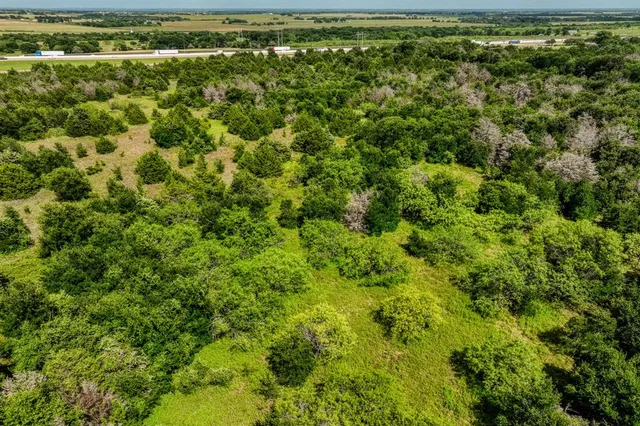 a view of a field of grass and trees