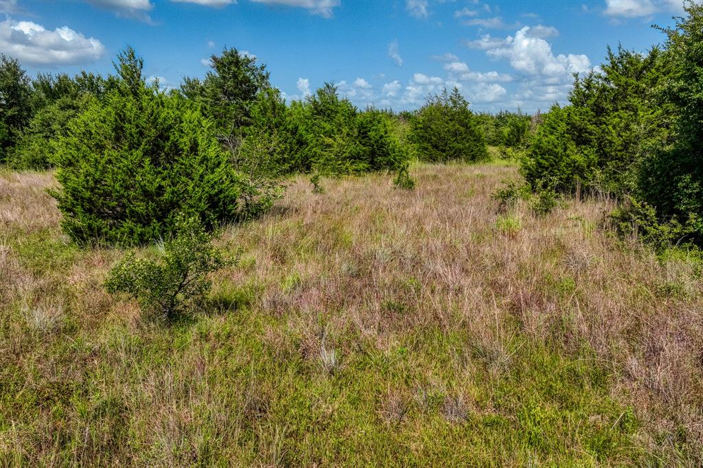 18201 Interstate 35 West, TX 76691 - Photo 20 of 22 a view of a yard
