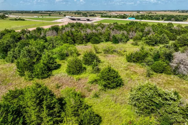 a view of a garden with an outdoor space