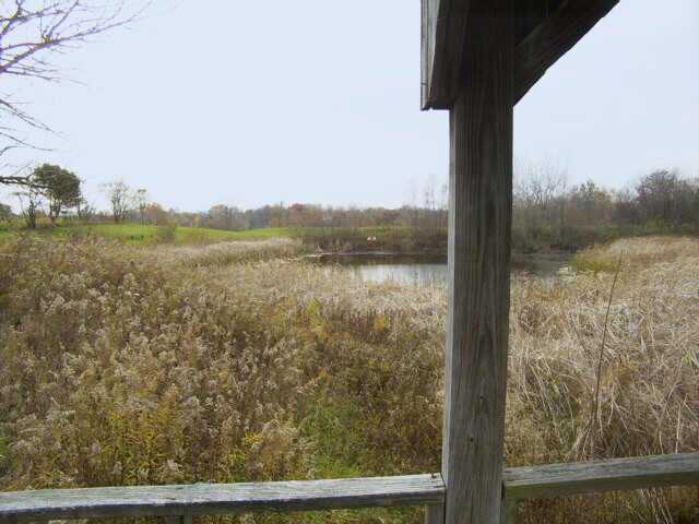 0 Klondike Road, Unit TR1 Delaware, OH 43015 - Photo 4 of 5