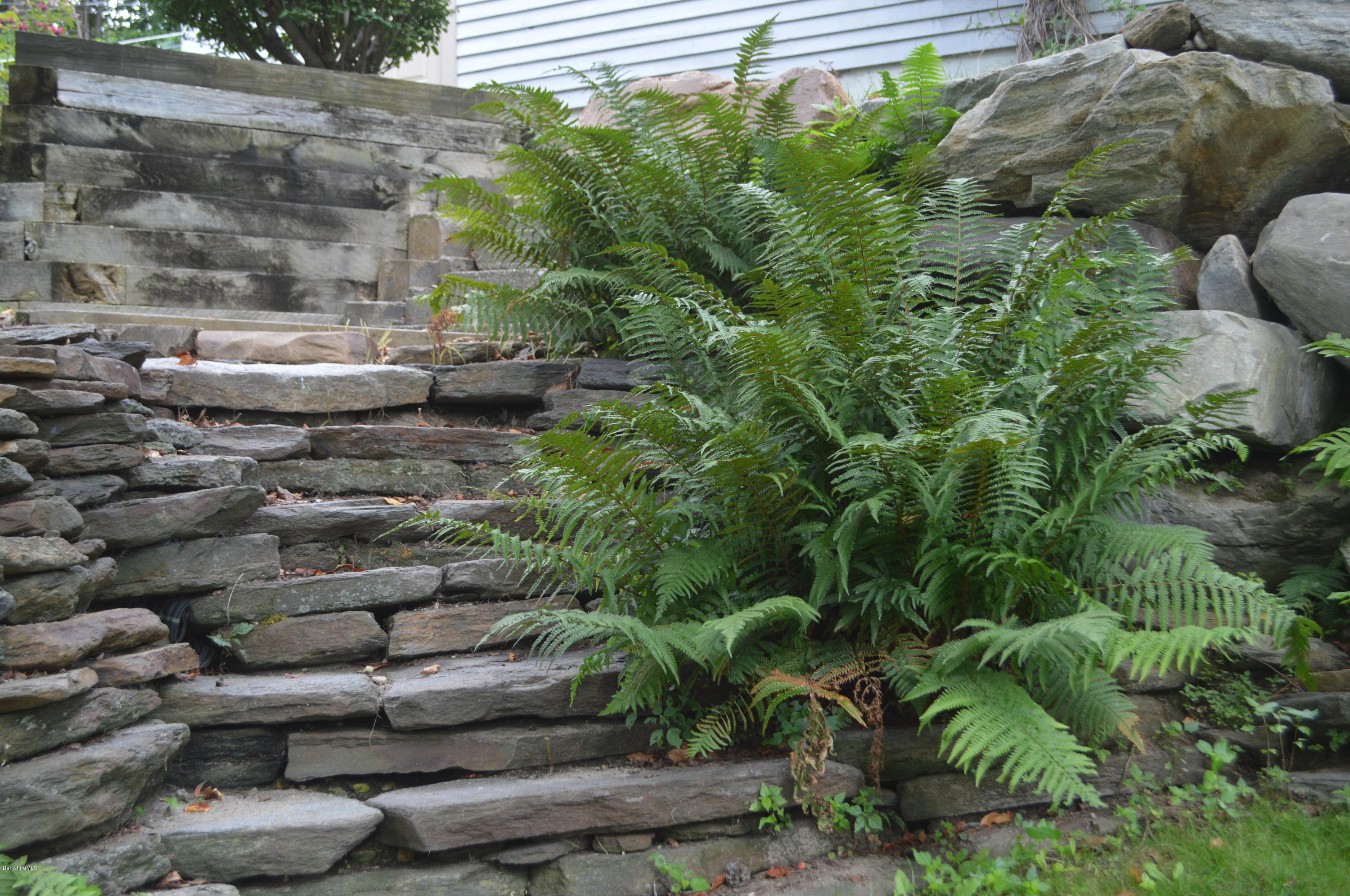 150 Maple Street Lee, MA 01238 - Photo 44 of 57 a view of a bunch of plants and some plants