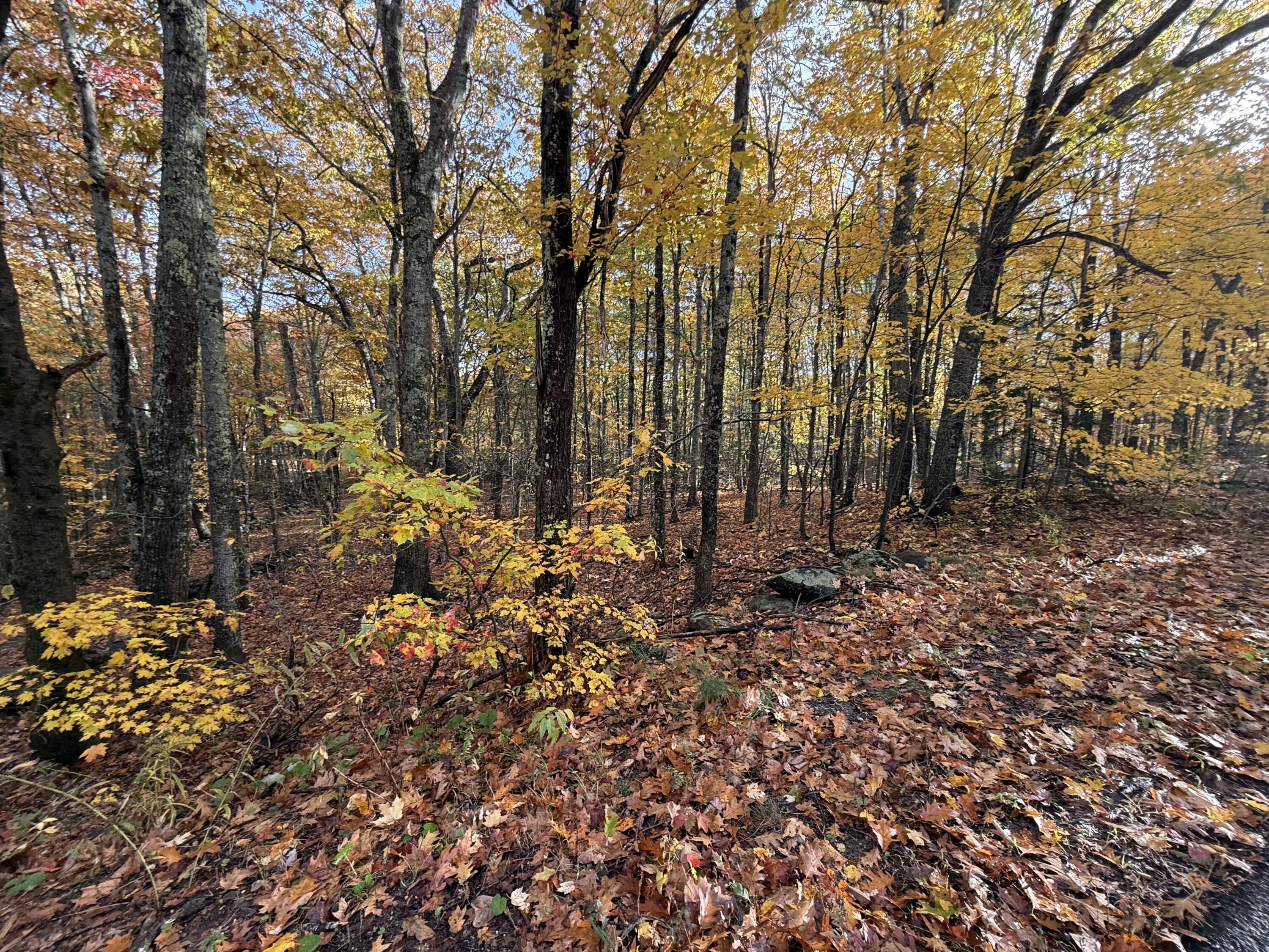 15 Tbd Map Street Rockport, ME 04856 - Photo 3 of 5 Map 15 Lot 150 Mt. Pleasant St, Rockport