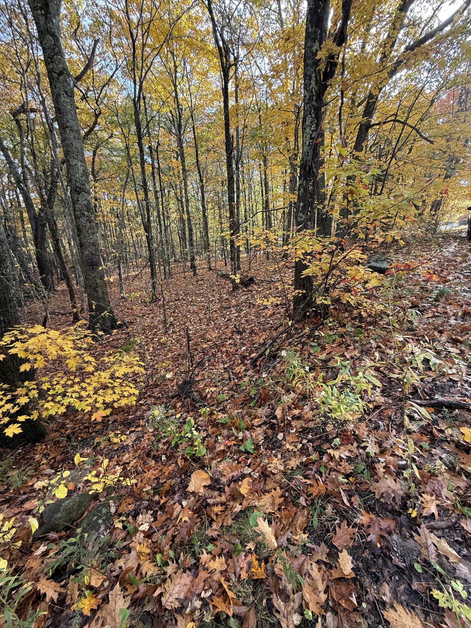 15 Tbd Map Street Rockport, ME 04856 - Photo 4 of 5 Map 15 Lot 150 Mt. Pleasant St, Rockport