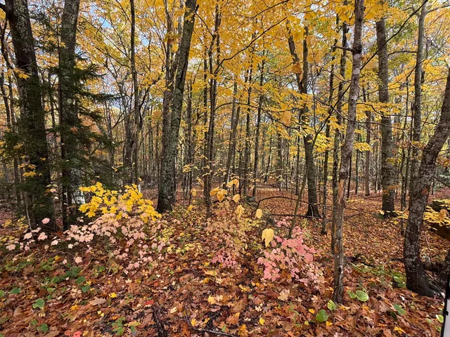 $55,000 | 15 Tbd Map Street, Rockport, ME 04856