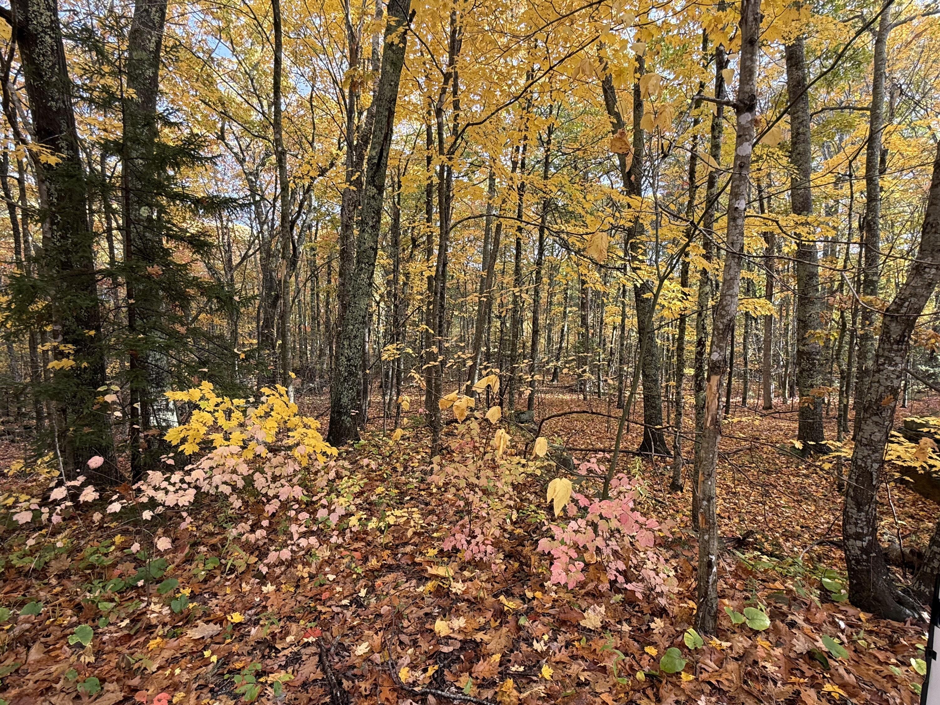 15 Tbd Map Street Rockport, ME 04856 - Photo 5 of 5 IMG_2821