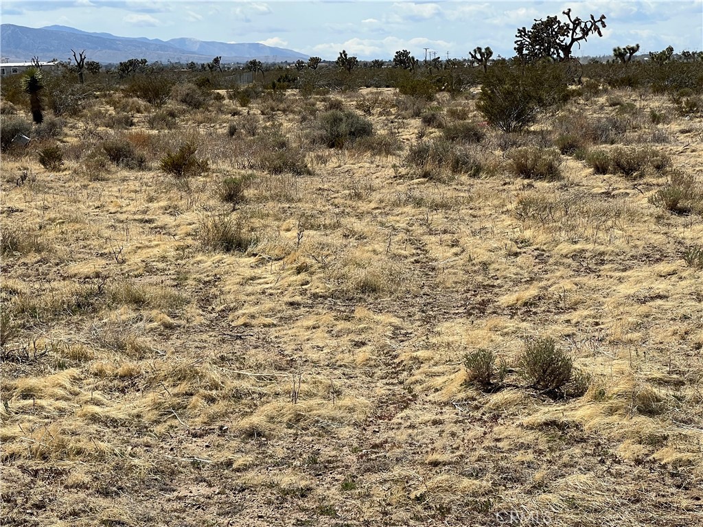 0 Rochester Road Phelan, CA 92371 - Photo 3 of 3