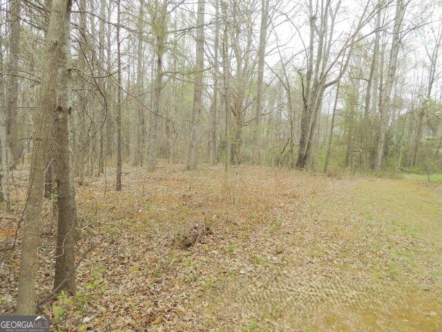 172 Mutts Drive Mount Airy, GA 30563 - Photo 23 of 29