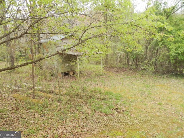 172 Mutts Drive Mount Airy, GA 30563 - Photo 6 of 29