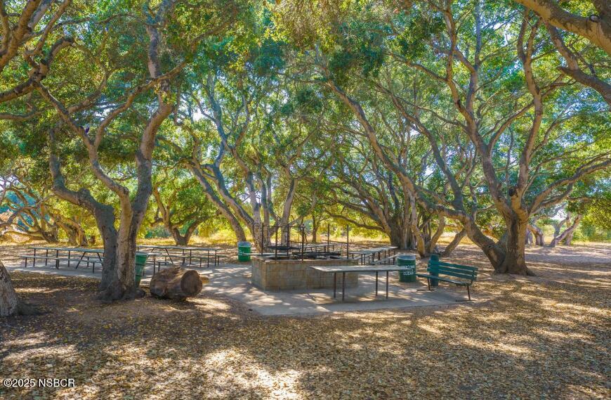 384 Falcon Crest Drive Lompoc, CA 93436 - Photo 14 of 22 a view of yard with trees