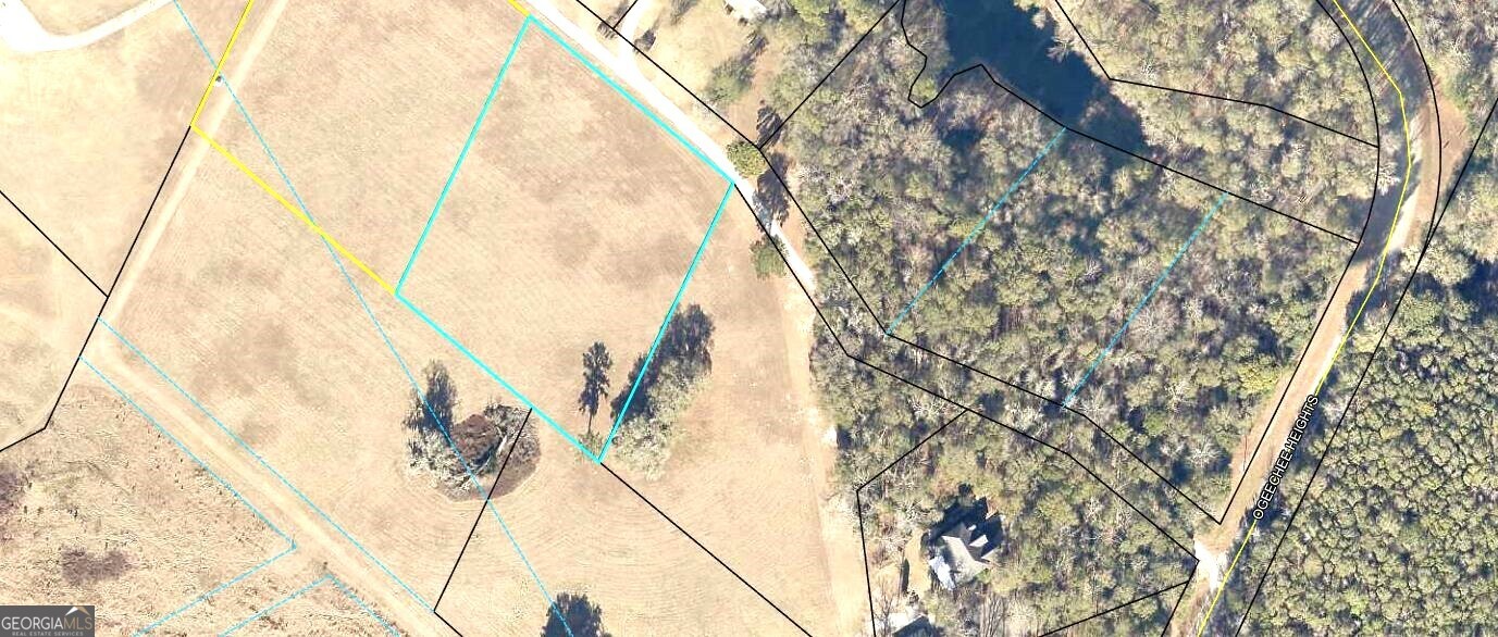 0 Mill Creek Road Bartow, GA 30413 - Photo 2 of 4 Gallery Image 2