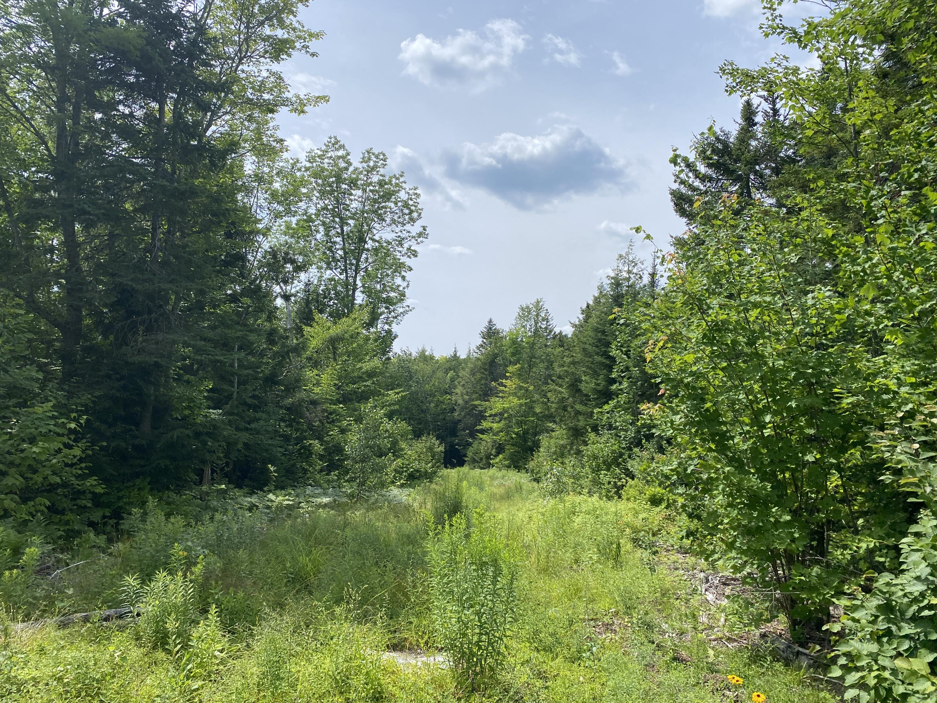1509 Otis Road Ellsworth, ME 04605 - Photo 18 of 26 IMG_3889