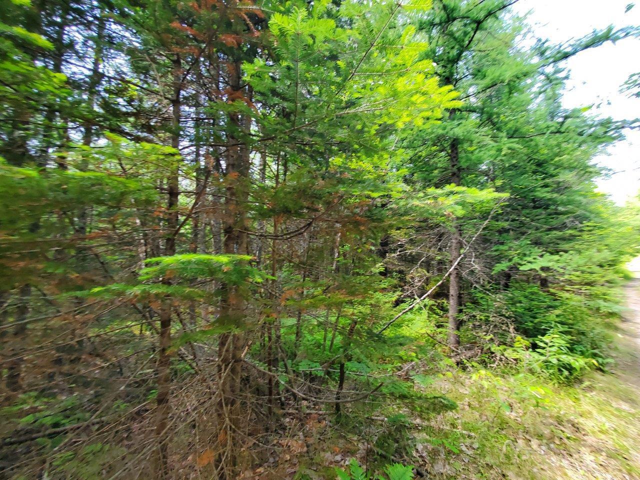 0 Morgan Road Burnham, ME 04922 - Photo 46 of 69 20250617_124357